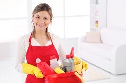 furniture cleaners n12