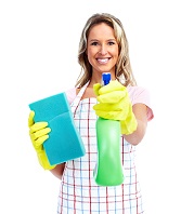 house cleaning n2