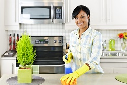 n12 domestic cleaners