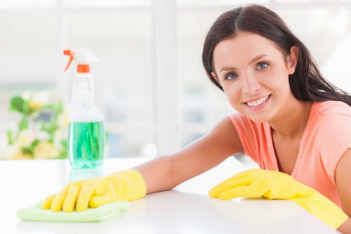 Professional cleaning company in Finchley serving homes and businesses