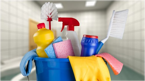 Professional carpet cleaner in Finchley working on a living room carpet