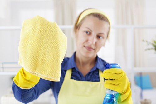 Cleaner inspecting the property before starting work