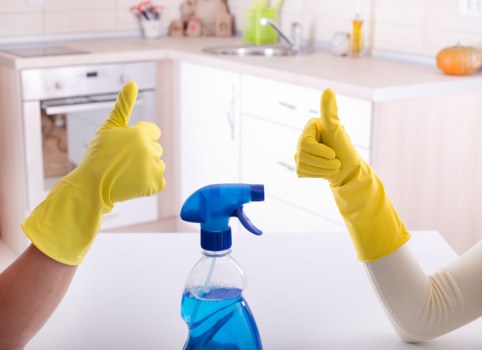 Client confirming a cleaning appointment and details