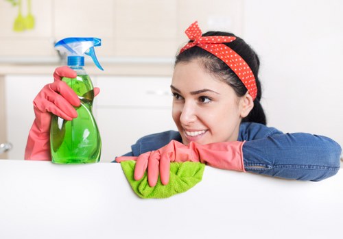 Protective equipment and labelled cleaning products arranged safely