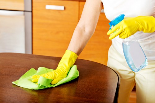 Supervisor reviewing safe working practices during a cleaning task